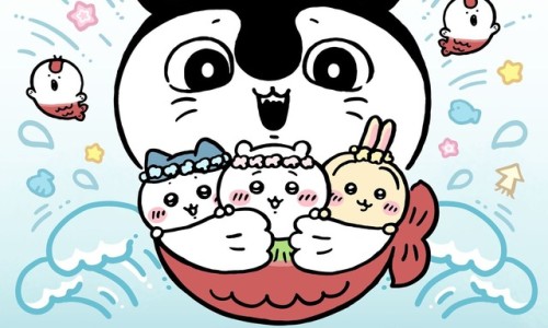 白云头孢丙烯颗粒是什么药网 | 头孢丙烯颗粒一袋多少克,广州白云头孢丙烯分散片